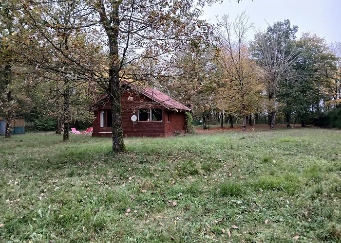 Chalet En Foret, Brame Du Cerf