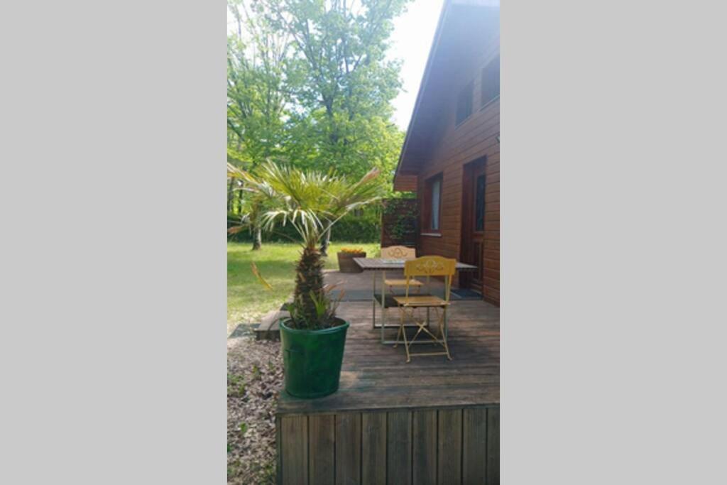 Chalet En Foret, Brame Du Cerf