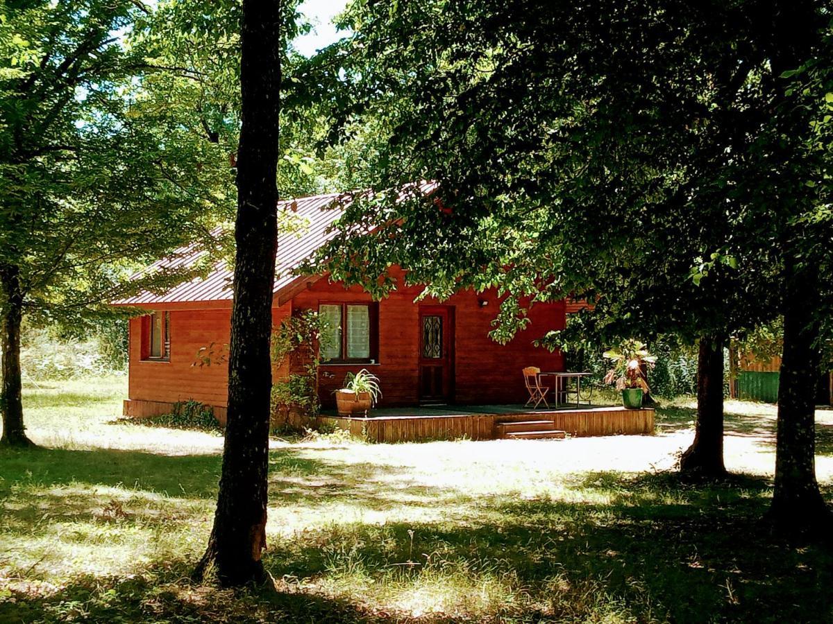 En Foret, Brame Du Cerf