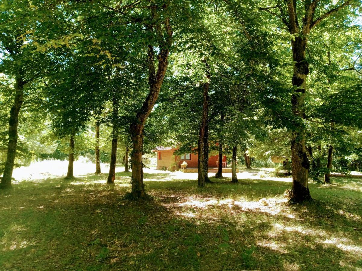 En Foret, Brame Du Cerf * Valpuiseaux