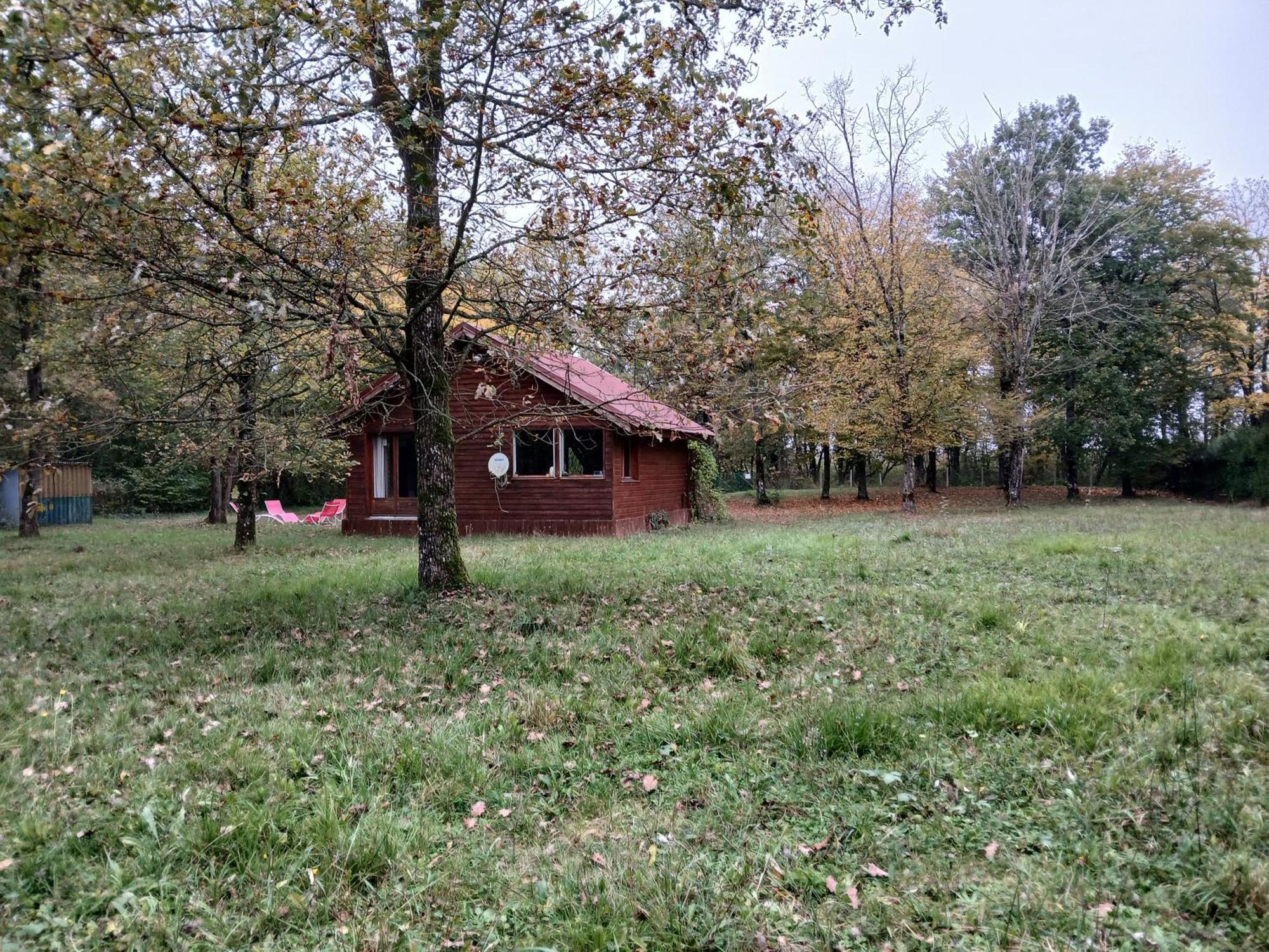 En Foret, Brame Du Cerf Chalet Valpuiseaux